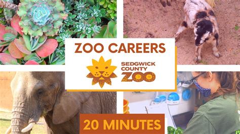 zoo career opportunities.